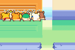 screenshots/Game Boy Advance/Hamtaro - Rainbow Rescue/Hamtaro - Rainbow Rescue (Eng) 056.png
